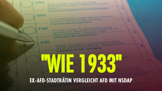 “Wie 1933” – Ex-AfD-Stadträtin vergleicht AfD mit NSDAP